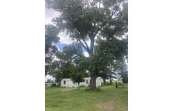 2977 County Highway 221, Bragg City, MO 63827