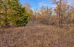 1943 Lakeridge, Sunset, TX 76270