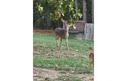 51.7 ac County Road 56, WATER VALLEY, MS 38965