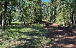 TBD FM 2694, Shelbyville, TX 75973