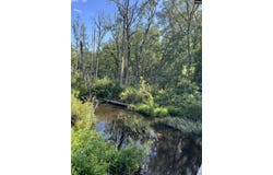 TBD Catalina Boulevard, North, SC 29112