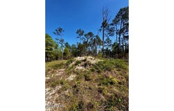 Tbd Akers Trail, Chipley, FL 32428