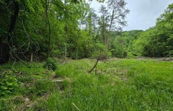 Tbd Boatmans Mountain Lot 3 Road, Morristown, TN 37814