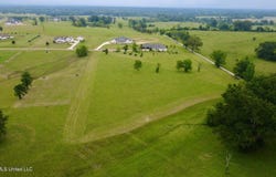 Sagamore lot: 35, Madison, MS 39110