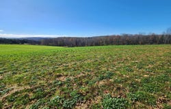Hoffman, Guilford, NY 13780