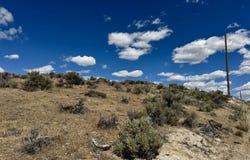 Hollyhock Street, Elko, NV 89801
