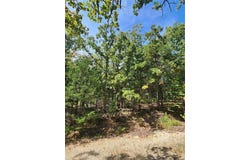Unincorporated, MO 65066