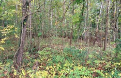 12813 JAMES MONROE Highway, LEESBURG, VA 20176