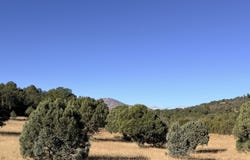 270A Saddleback Road lot: 270A, Alto, NM 88312