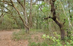 LAKEVIEW Drive, Melrose, FL 32666