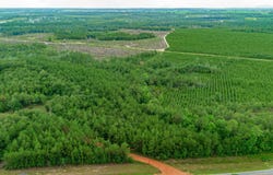 Greenwood Rd, Jay, FL 32565