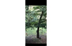 3164 N Chigger Ridge Road, Birdseye, IN 47513-9340