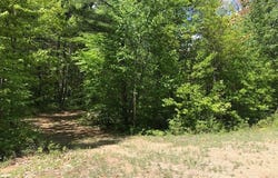 Shirley's Way lot: 7, Ausable Forks, NY 12912