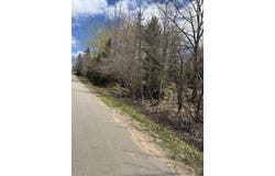 AL County Road, Champion, MI 49814