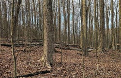 Thayer Road, Erin, NY 14838