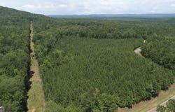 11.02 Ac Johnson Mill, Hamilton, GA 31811