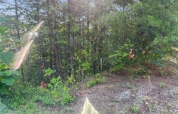 450 Buffalo Lane, Tazewell, TN 37879