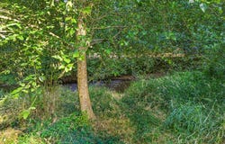 60650 NW WILCOX DR, Timber, OR 97144