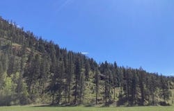 35XX ROCKCUT RD, KETTLE FALLS, WA 99141