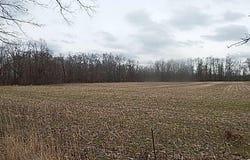 4600 11 Mile Road, Burlington, MI 49029