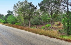 N Gaines Rd, Cedar Creek, TX 78602