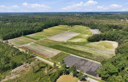 Willis Farm (68ac All 3 Lots), Newport, NC 28570