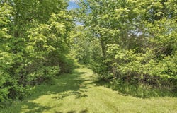 7874 Hazelton Etna Road SW, Pataskala, OH 43062