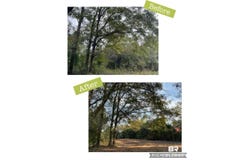 12541 Frondfield Lane, Elberta, AL 36530