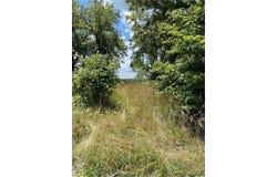 750th Road, Centerview, MO 64019