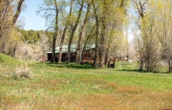 County Road 122A, Hesperus, CO 81326