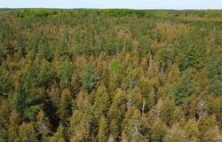 Vega, Hermansville, MI 49847