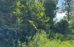 0 Mountain Springs Road, Alum Bank, PA 15521