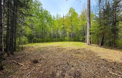 72xx E Central Lakes Road Lot F, Eveleth, MN 55734