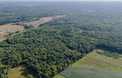 98+/- Acres Hwy 95, Alma Center, WI 54611