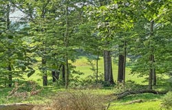 307 Foxglove Road, Stroudsburg, PA 18360