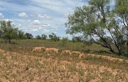 0 S CR 525, Brownfield, TX 79316