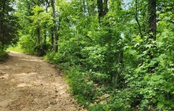 ID21 Lakeview Trail, HOLLADAY, TN 38341