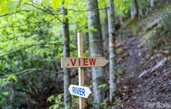 31 Caddis Court, Marshall, NC 28753