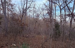 N Dade 173, Greenfield, MO 65661