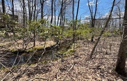 Butternut Lane, Greentown, PA 18426