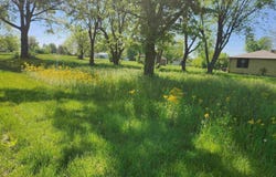 516 E CLAY Street, Ashley, IL 62808