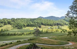 411 Big Sandy Mush Road, Leicester, NC 28748