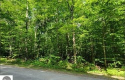 29 Undervalden Drive, Bellaire, MI 49615
