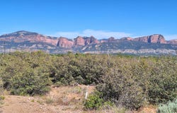 New Harmony, UT 84757