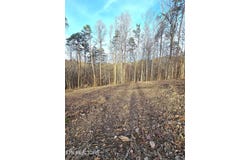 248 Norman Rd, Powell, TN 37849
