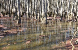 0 Lee Rd 177, Aubrey, AR 72360
