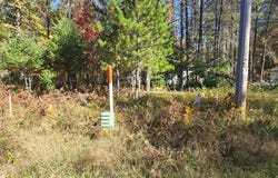 4042 HIBANKS RD, Conover, WI 54519