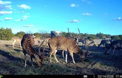 000 County Road 204, Sonora, TX 76950
