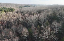 Marshall, AR 72650