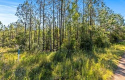 1 Pilgrim Rest Road, DeQuincy, LA 70633